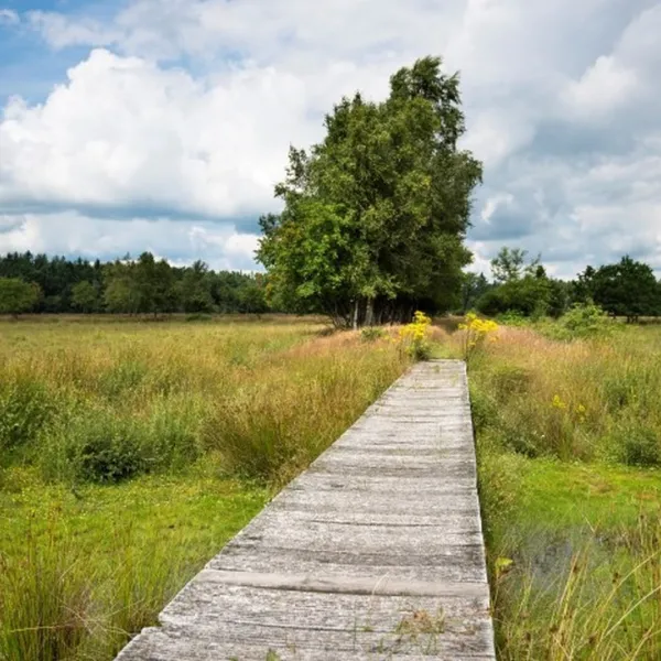 de-goede-weide-recreatie-oude-willem-bij-diever-thdvk