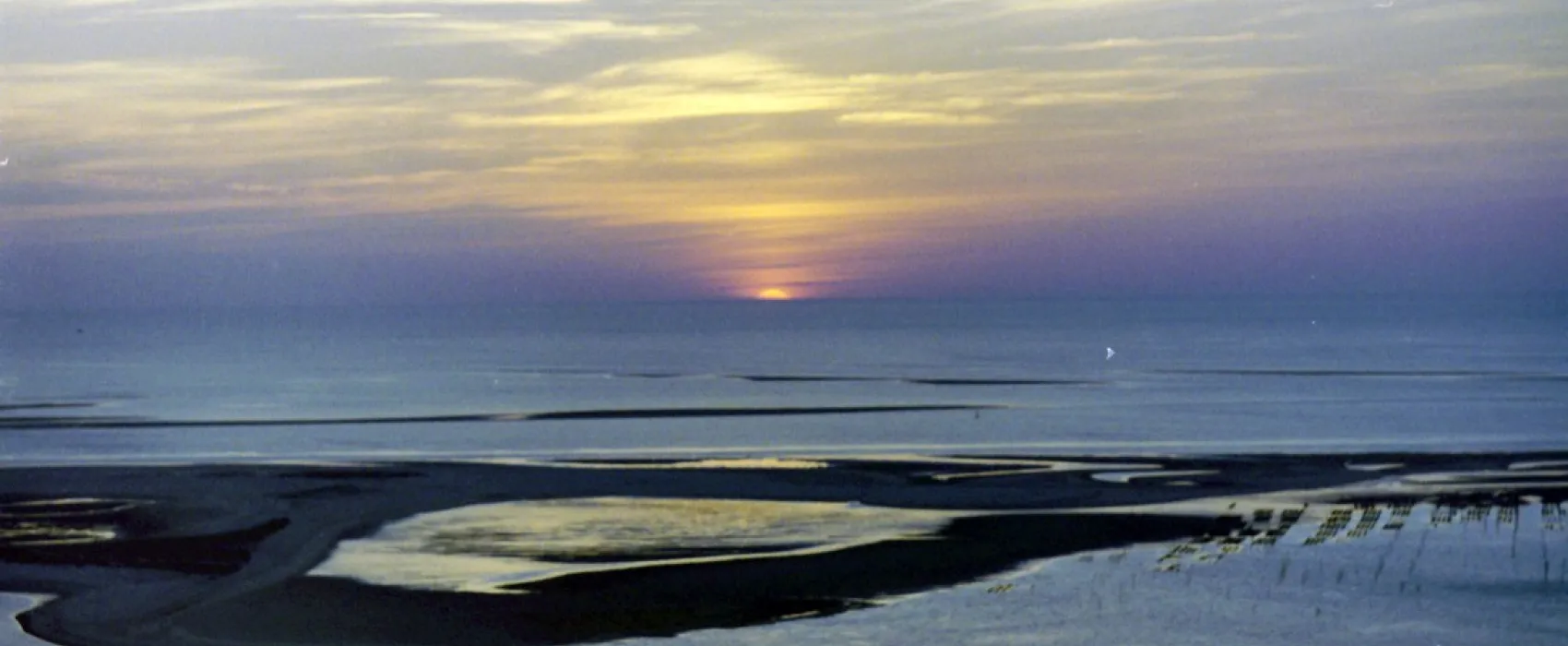 La Dune