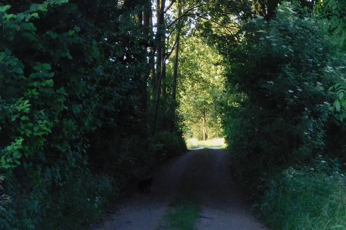 ecotouristfarm-na-legach-krzyz-wielkopolski-iio2v