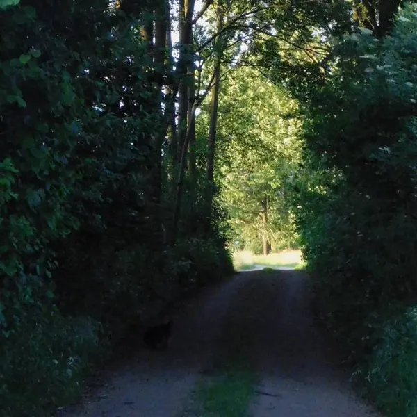 ecotouristfarm-na-legach-krzyz-wielkopolski-iio2v