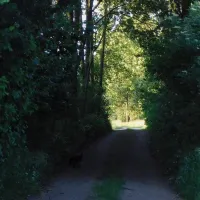 ecotouristfarm-na-legach-krzyz-wielkopolski-iio2v