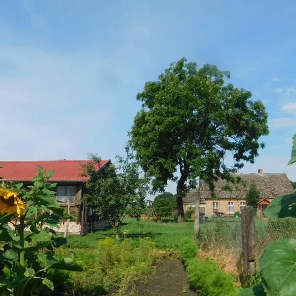 ecotouristfarm-na-legach-krzyz-wielkopolski-pkz93