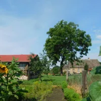 ecotouristfarm-na-legach-krzyz-wielkopolski-pkz93