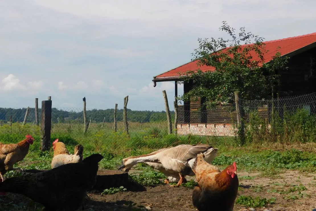 ecotouristfarm-na-legach-krzyz-wielkopolski-uma4h