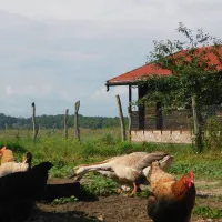 ecotouristfarm-na-legach-krzyz-wielkopolski-uma4h