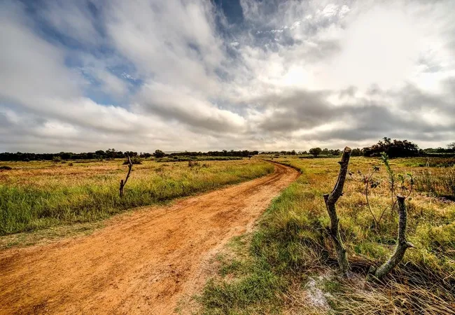 khwa-ttu-west-coast-road-yzerfontein-5j4ry