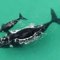 opstal-camp-rondawels-bredasdorp-cape-agulhas-flftb