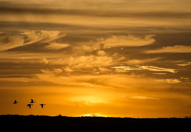 opstal-camp-rondawels-bredasdorp-cape-agulhas-icdwg