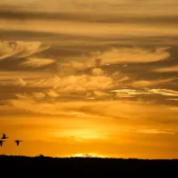 opstal-camp-rondawels-bredasdorp-cape-agulhas-icdwg