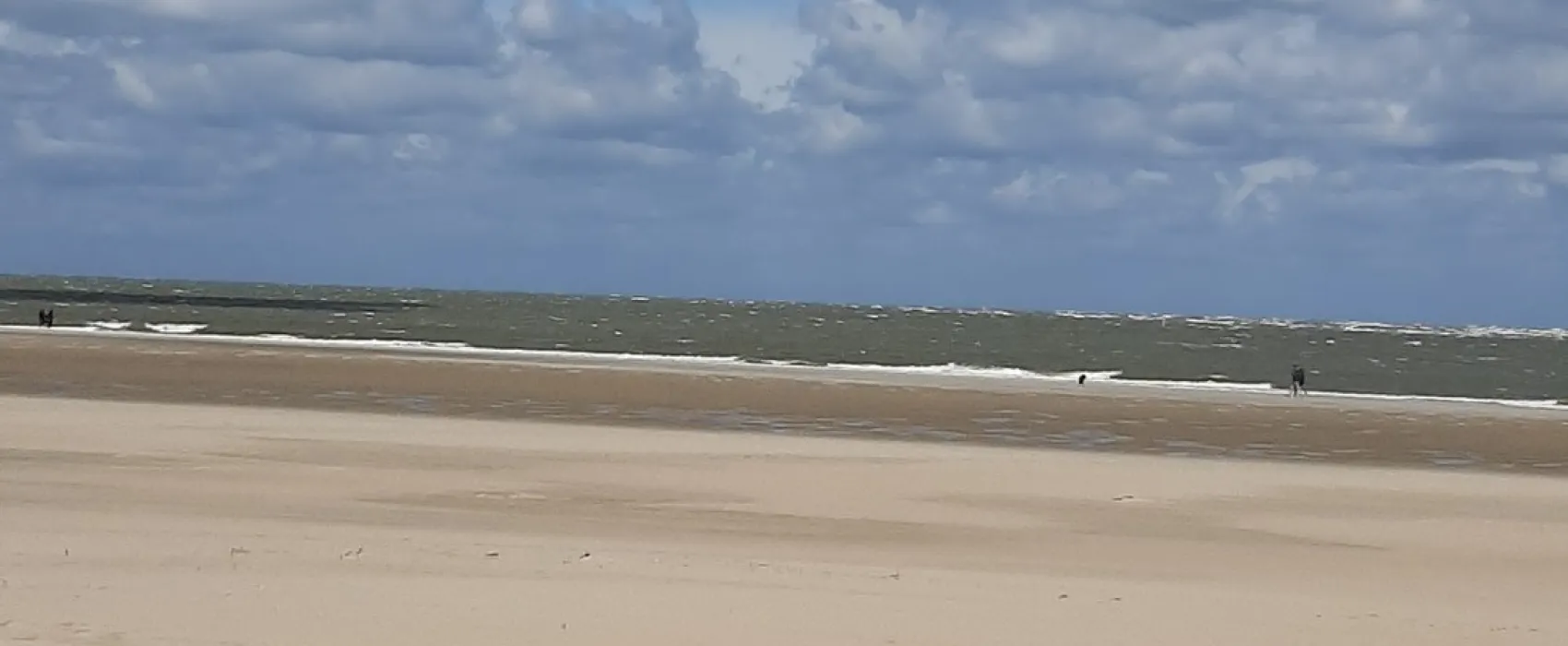 De Toekomst