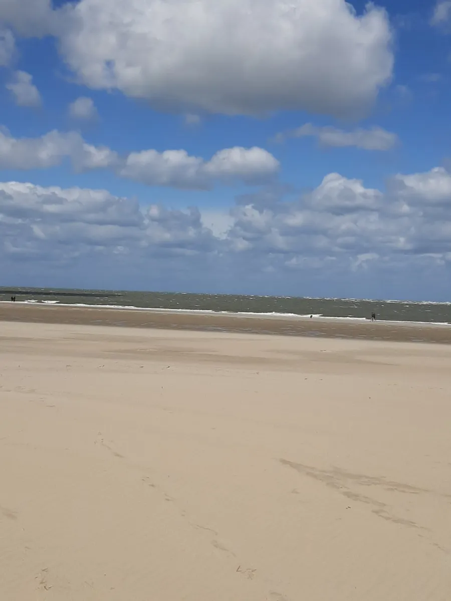 de-toekomst-renesse-ftxdz