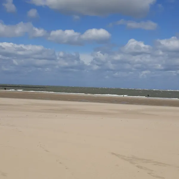 de-toekomst-renesse-ftxdz