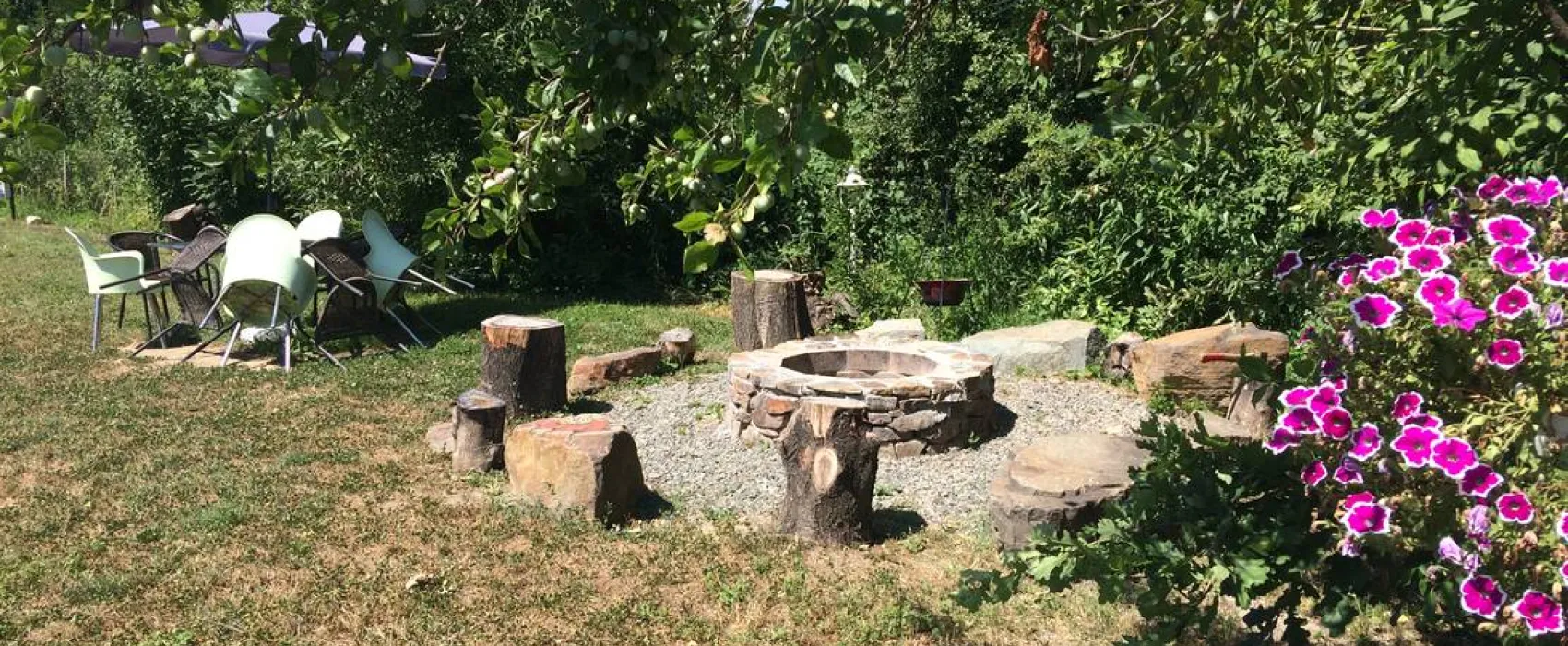 Camping Noroc