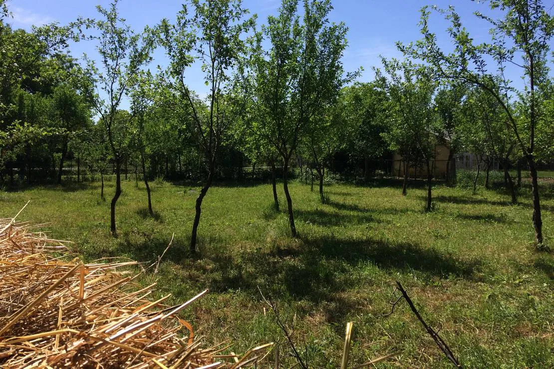 camping-noroc-sacalaseni-aty54