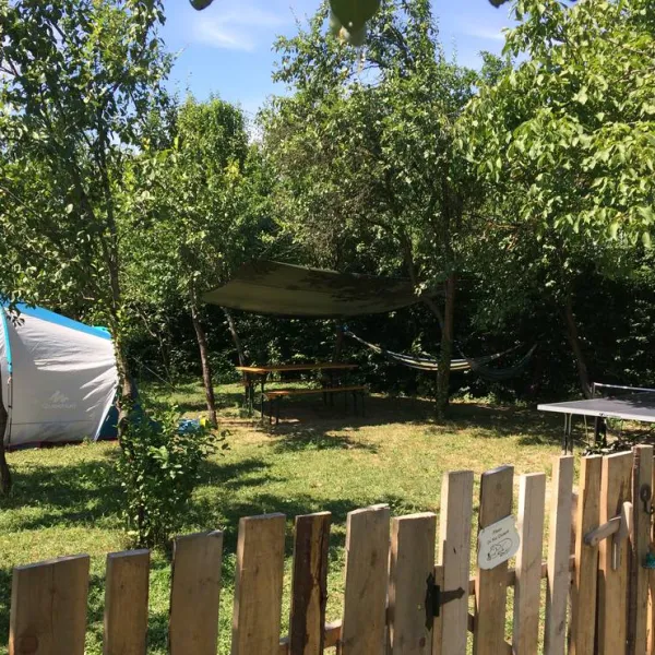 camping-noroc-sacalaseni-c11y7
