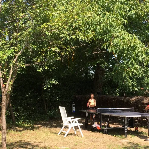 camping-noroc-sacalaseni-xhaxd