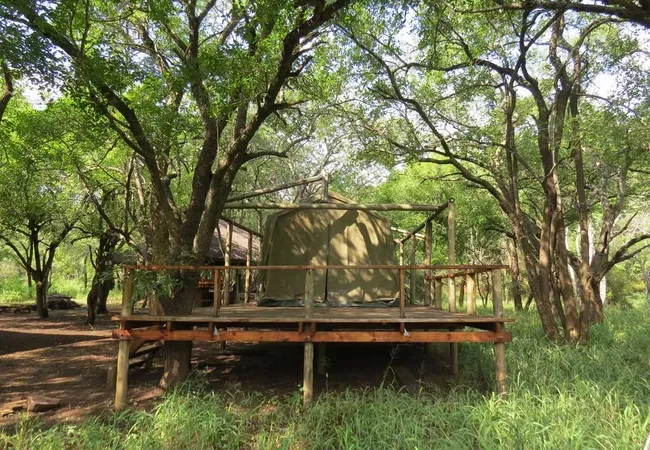 makongo-bush-camp-magudu-pongola-gcbxq