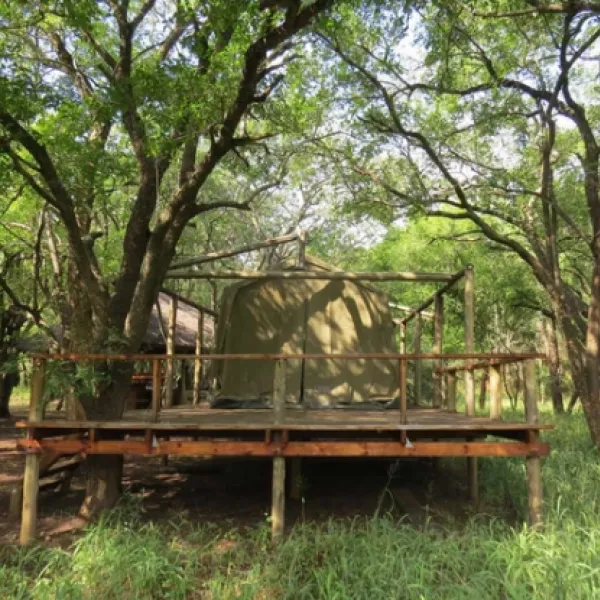 makongo-bush-camp-magudu-pongola-gcbxq