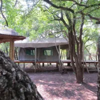makongo-bush-camp-magudu-pongola-oecdh