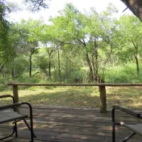 makongo-bush-camp-magudu-pongola-pn9ru