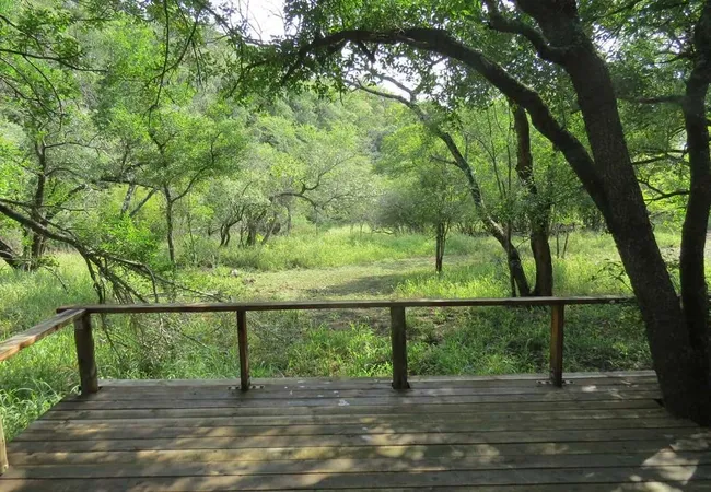 makongo-bush-camp-magudu-pongola-z4spf