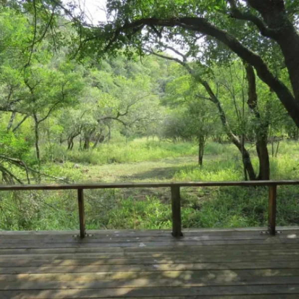 makongo-bush-camp-magudu-pongola-z4spf