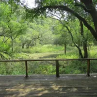makongo-bush-camp-magudu-pongola-z4spf