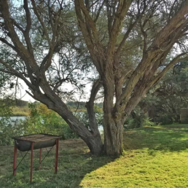khamkirri-camping-orange-river-kakamas-8ghwj