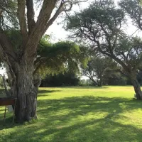 khamkirri-camping-orange-river-kakamas-cuhbd
