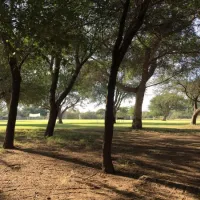 khamkirri-camping-orange-river-kakamas-kevvg