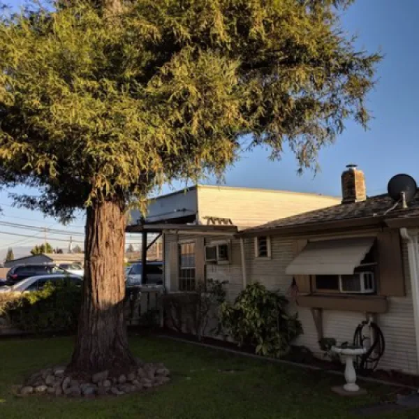 garden-city-rv-park-san-jose-mlzzq