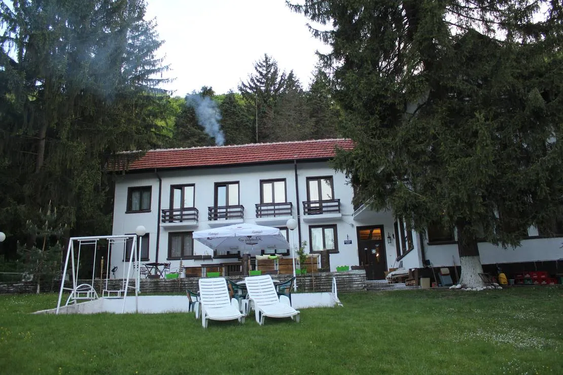 camping-starite-borove-old-pines-sinagovtsi-0mogh