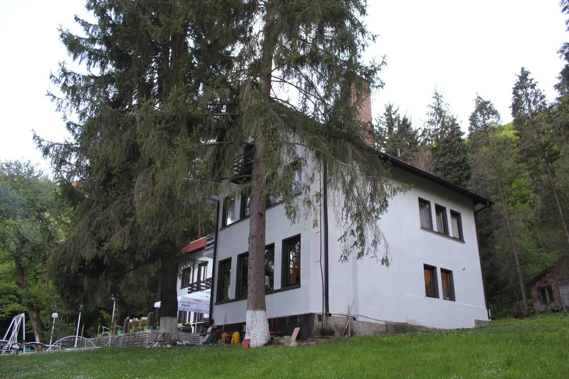 camping-starite-borove-old-pines-sinagovtsi-2eq5i