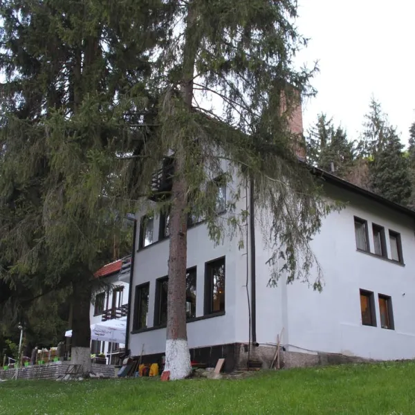camping-starite-borove-old-pines-sinagovtsi-2eq5i