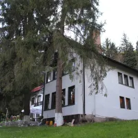 camping-starite-borove-old-pines-sinagovtsi-2eq5i