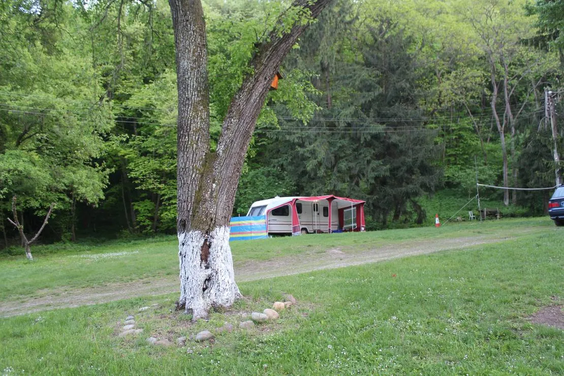 camping-starite-borove-old-pines-sinagovtsi-2nvv7