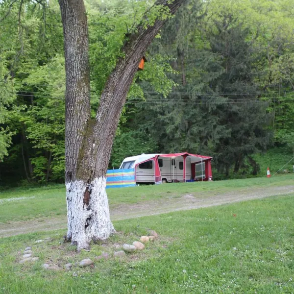 camping-starite-borove-old-pines-sinagovtsi-2nvv7