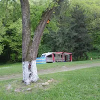 camping-starite-borove-old-pines-sinagovtsi-2nvv7