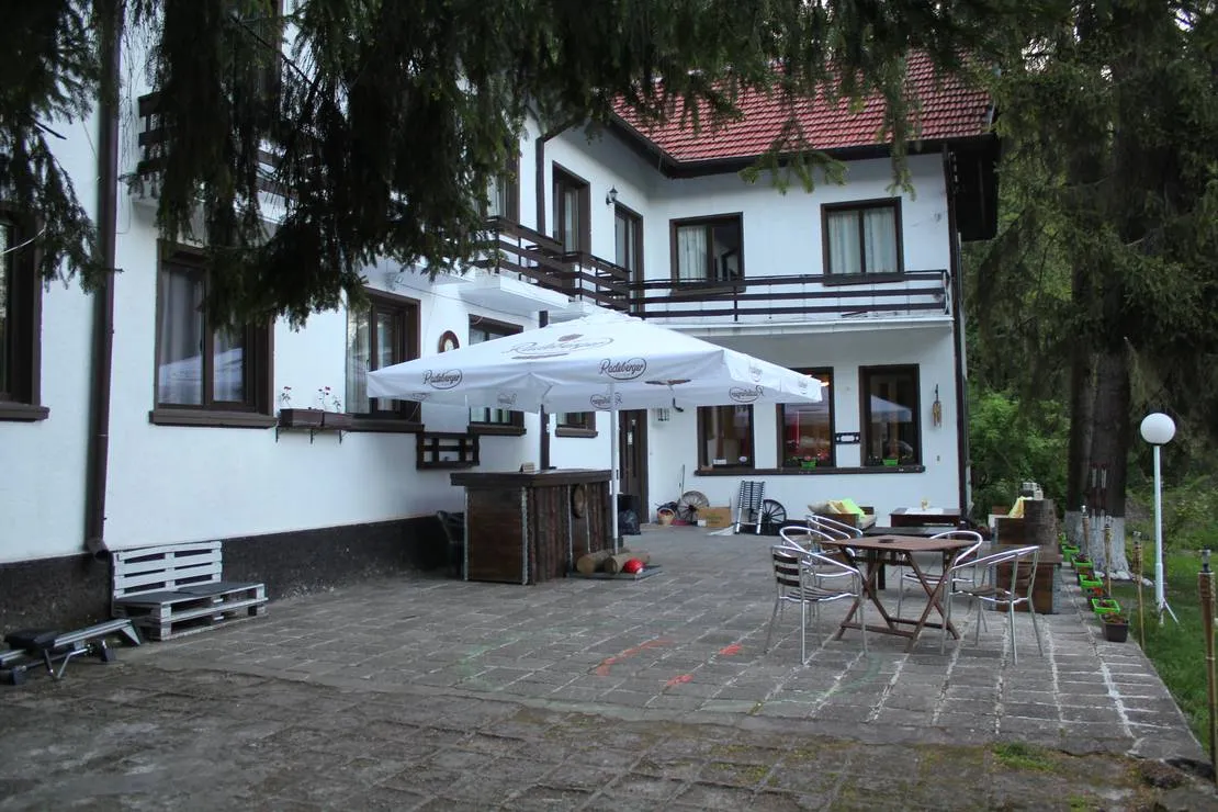 camping-starite-borove-old-pines-sinagovtsi-7lnw1