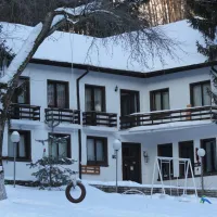 camping-starite-borove-old-pines-sinagovtsi-efsys
