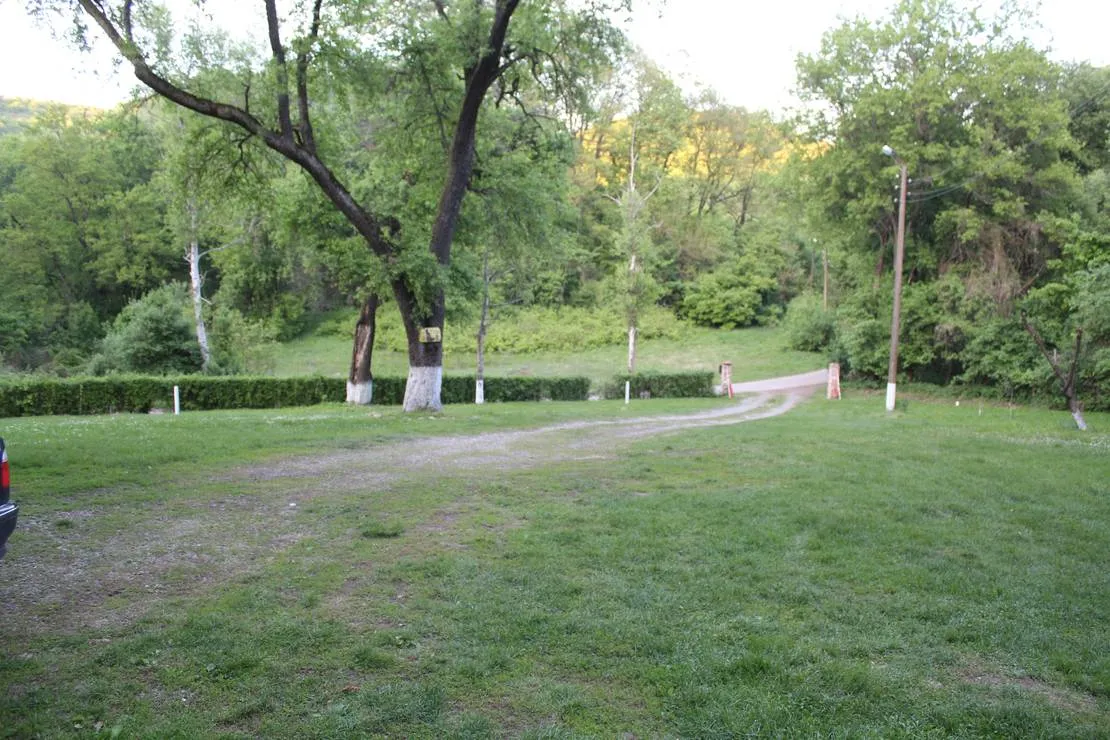 camping-starite-borove-old-pines-sinagovtsi-ejtoc