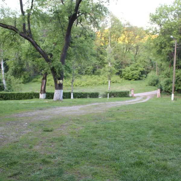 camping-starite-borove-old-pines-sinagovtsi-ejtoc