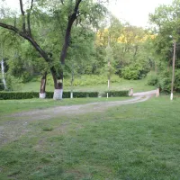 camping-starite-borove-old-pines-sinagovtsi-ejtoc