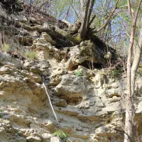 camping-starite-borove-old-pines-sinagovtsi-kuzu5