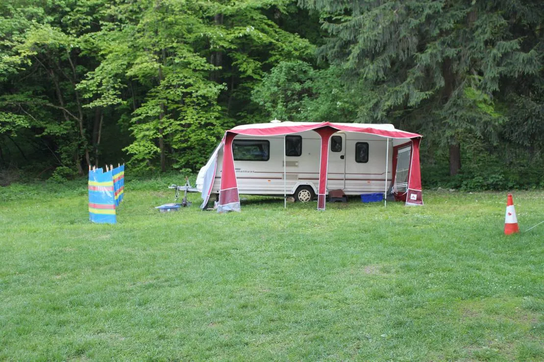 camping-starite-borove-old-pines-sinagovtsi-lpshm