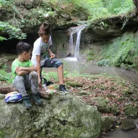 camping-starite-borove-old-pines-sinagovtsi-mhscq