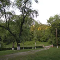 camping-starite-borove-old-pines-sinagovtsi-mj1xq
