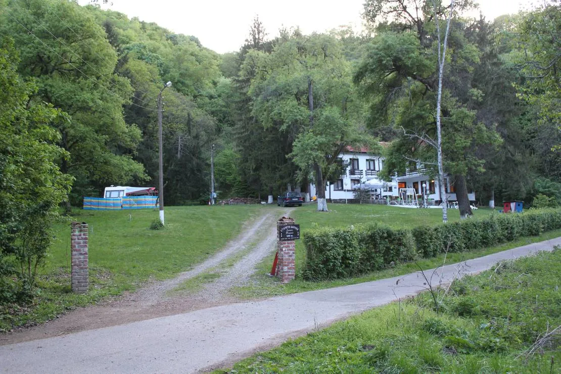 camping-starite-borove-old-pines-sinagovtsi-mlatb