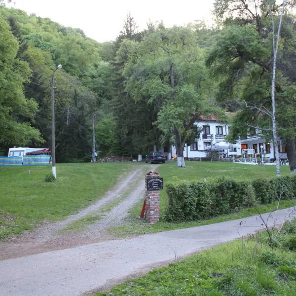 camping-starite-borove-old-pines-sinagovtsi-mlatb