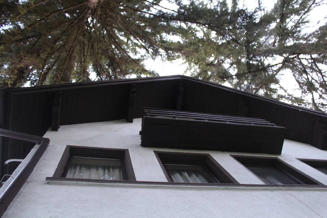 camping-starite-borove-old-pines-sinagovtsi-ubktk